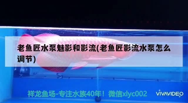老魚匠水泵魅影和影流(老魚匠影流水泵怎么調節)