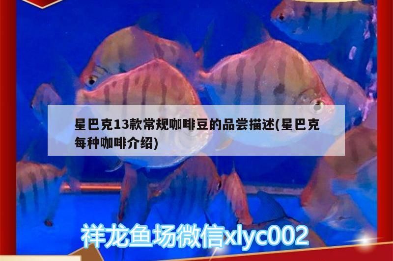 星巴克13款常規咖啡豆的品嘗描述(星巴克每種咖啡介紹)