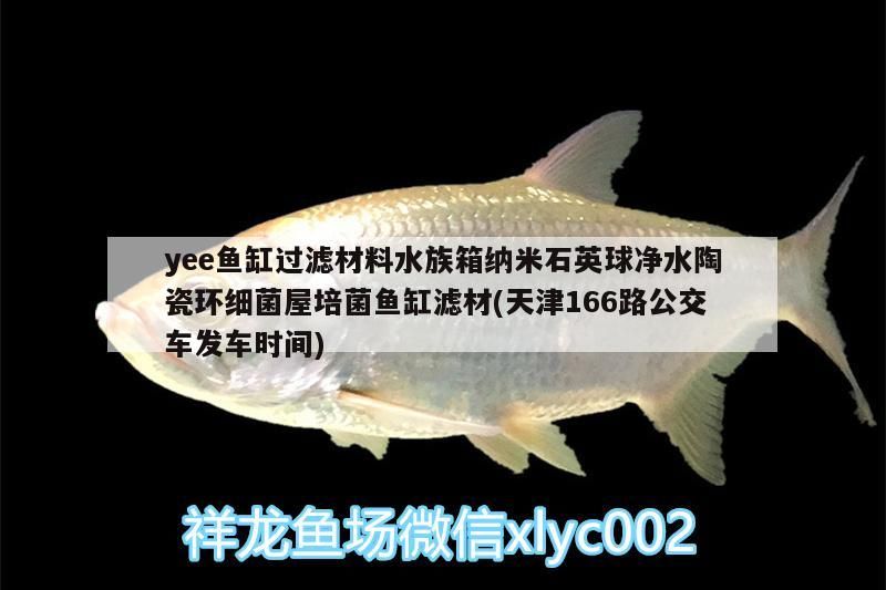 yee魚缸過濾材料水族箱納米石英球凈水陶瓷環(huán)細(xì)菌屋培菌魚缸濾材(天津166路公交車發(fā)車時間)