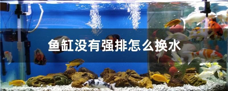 魚缸沒有強排怎么換水
