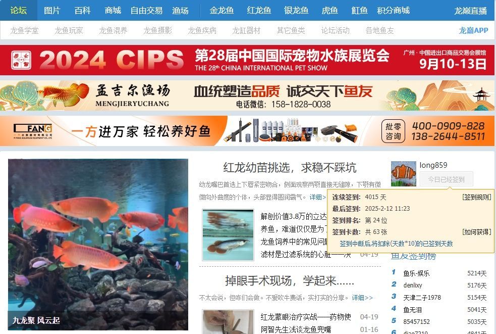 《龍魚(yú)之巔》陪我走過(guò)的第11年。