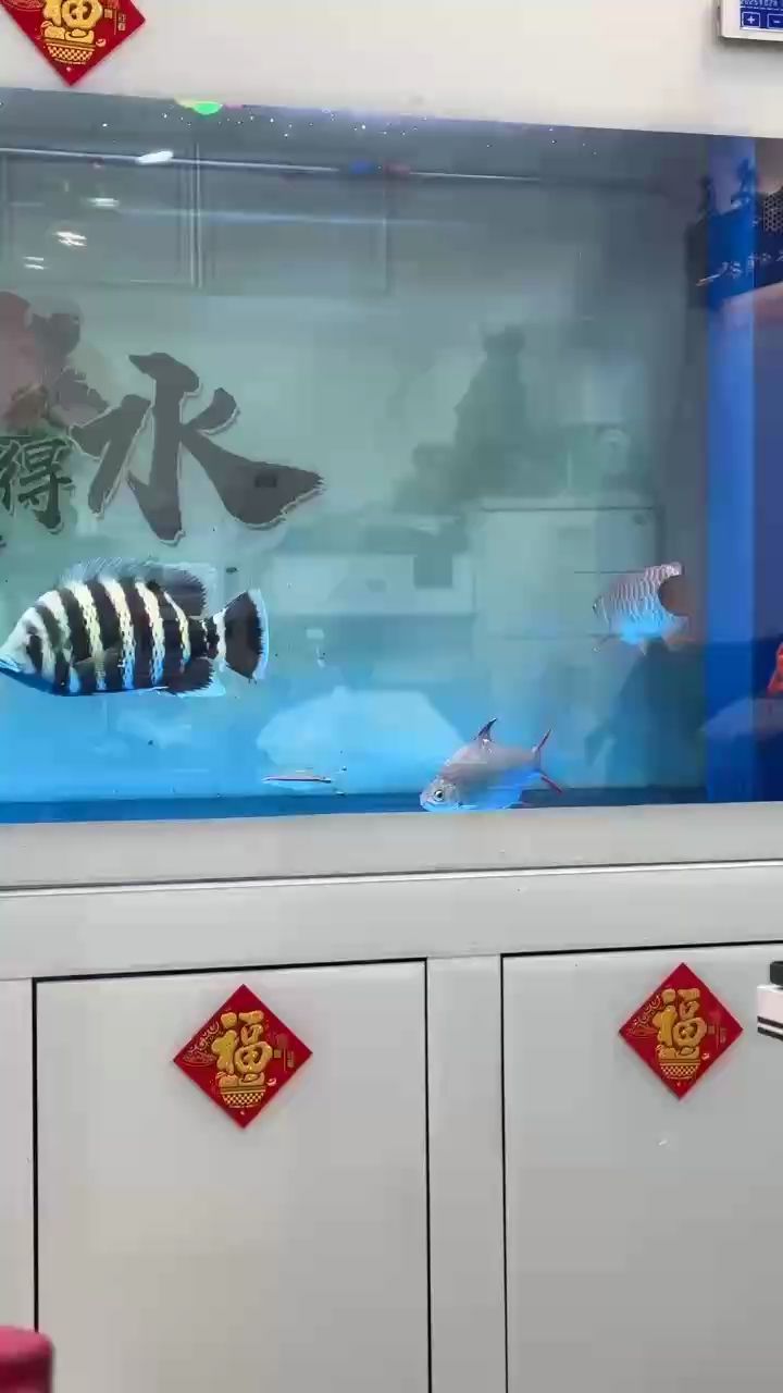 剛喂完，沒吃飽的狀態、