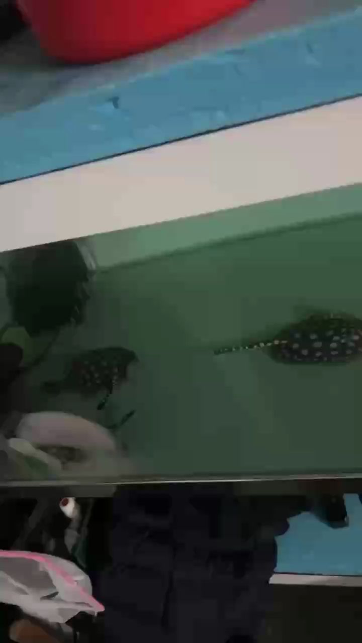 根本忙不完