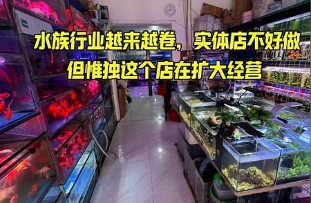 水族館店鋪里有什么動物嗎：水族館商店中可能有的動物及其詳細信息
