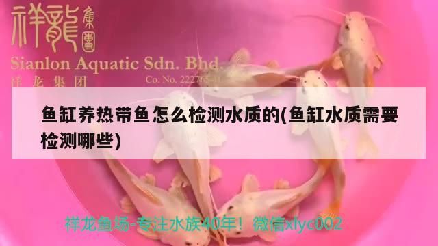 觀賞魚 魚缸養(yǎng)熱帶魚怎么檢測水質(zhì)的(魚缸水質(zhì)需要檢測哪些) 黃金貓魚百科 魚缸養(yǎng)熱帶魚怎么檢測水質(zhì)的(魚缸水質(zhì)需要檢測哪些) 魚缸養(yǎng)熱帶魚怎么檢測水質(zhì)的(魚缸水質(zhì)需要檢測哪些) 黃金貓魚百科