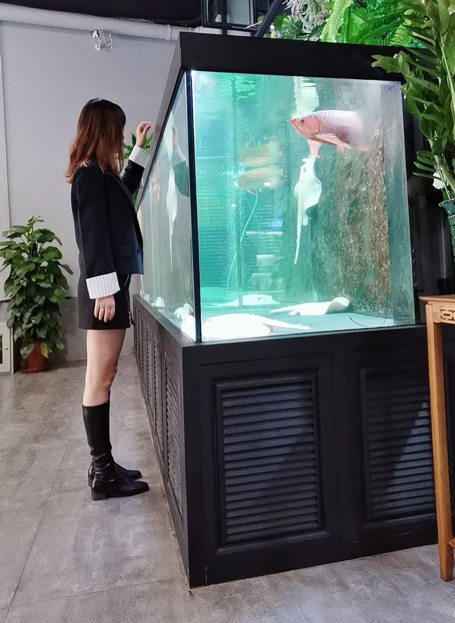 你們會找怎樣的人請龍呢