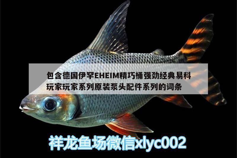 包含德國伊罕EHEIM精巧桶強勁經典易科玩家玩家系列原裝泵頭配件系列的詞條