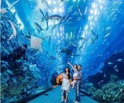 開一家水族館能掙錢嗎現(xiàn)在怎么樣：開一家水族館是否能賺錢