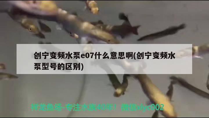 創(chuàng)寧變頻水泵e07什么意思啊(創(chuàng)寧變頻水泵型號(hào)的區(qū)別) 創(chuàng)寧變頻水泵e07什么意思啊(創(chuàng)寧變頻水泵型號(hào)的區(qū)別) 創(chuàng)寧水族
