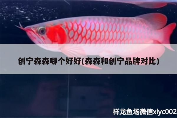 創寧森森哪個好好(森森和創寧品牌對比)