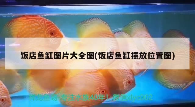 珠海魚缸龍魚世家水族館優惠（珠海水族館 龍魚世家水族館專注）