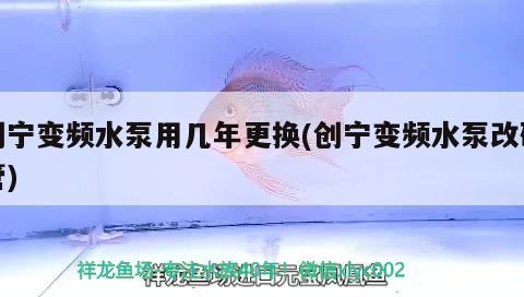 創寧變頻水泵用幾年更換(創寧變頻水泵改硬管)