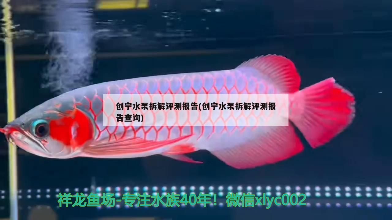 創寧水泵拆解評測報告(創寧水泵拆解評測報告查詢)