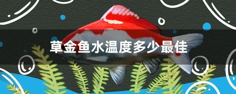 草金魚(yú)水溫度多少最佳