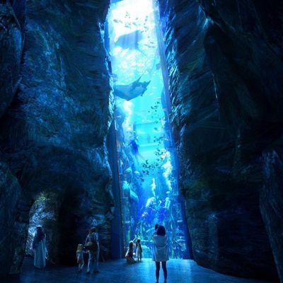 水族館VR體驗如何提升觀展（vr水族館vr體驗對觀展效果的提升作用）