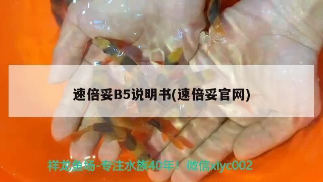 速倍妥B5說明書(速倍妥官網)
