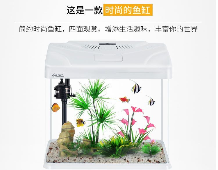 380的魚缸多少升水：380的魚缸容積怎么計(jì)算