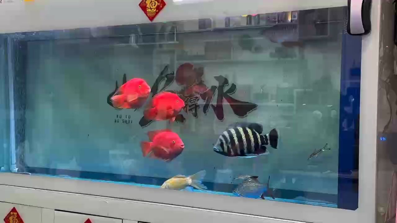 陪伴的88天