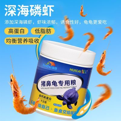 豬鼻龜愛吃什么:豬鼻龜喜歡吃什么,豬鼻龜吃什么比較好 豬鼻龜百科 第4張 豬鼻龜愛吃什么:豬鼻龜喜歡吃什么,豬鼻龜吃什么比較好 豬鼻龜愛吃什么:豬鼻龜喜歡吃什么,豬鼻龜吃什么比較好 豬鼻龜百科 第4張