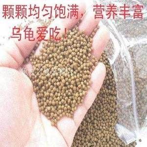 豬鼻龜愛吃什么:豬鼻龜喜歡吃什么,豬鼻龜吃什么比較好 豬鼻龜百科 第5張 豬鼻龜愛吃什么:豬鼻龜喜歡吃什么,豬鼻龜吃什么比較好 豬鼻龜愛吃什么:豬鼻龜喜歡吃什么,豬鼻龜吃什么比較好 豬鼻龜百科 第5張