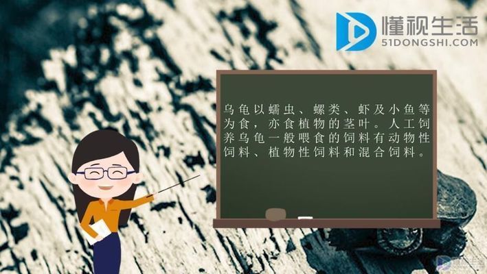 豬鼻龜愛吃什么:豬鼻龜喜歡吃什么,豬鼻龜吃什么比較好 豬鼻龜百科 第7張 豬鼻龜愛吃什么:豬鼻龜喜歡吃什么,豬鼻龜吃什么比較好 豬鼻龜愛吃什么:豬鼻龜喜歡吃什么,豬鼻龜吃什么比較好 豬鼻龜百科 第7張