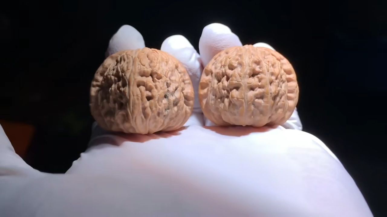 白獅子核桃