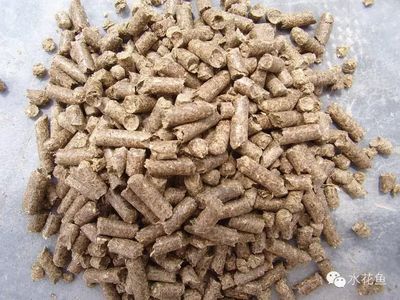 馬印龍魚飼料怎么樣：馬印龍魚飼料是一種專門為龍魚設計的飼料是一種專門為龍魚設計的 馬印龍魚飼料怎么樣：馬印龍魚飼料是一種專門為龍魚設計的飼料是一種專門為龍魚設計的 馬印水族 第4張