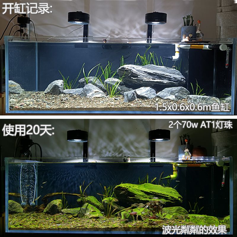 特億水泵使用說明及性能評測，使用方法、注意事項與用戶