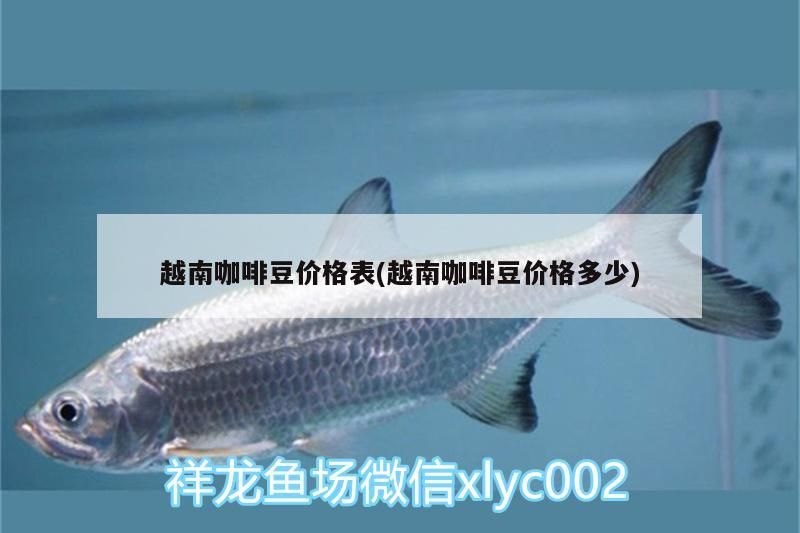 咖啡豆價(jià)格全解析，最新價(jià)格表