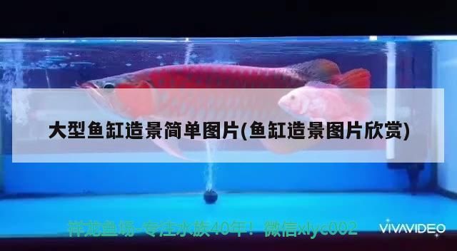 里魚死是否需換水？ 里魚死是否需換水？ 仟湖 第2張