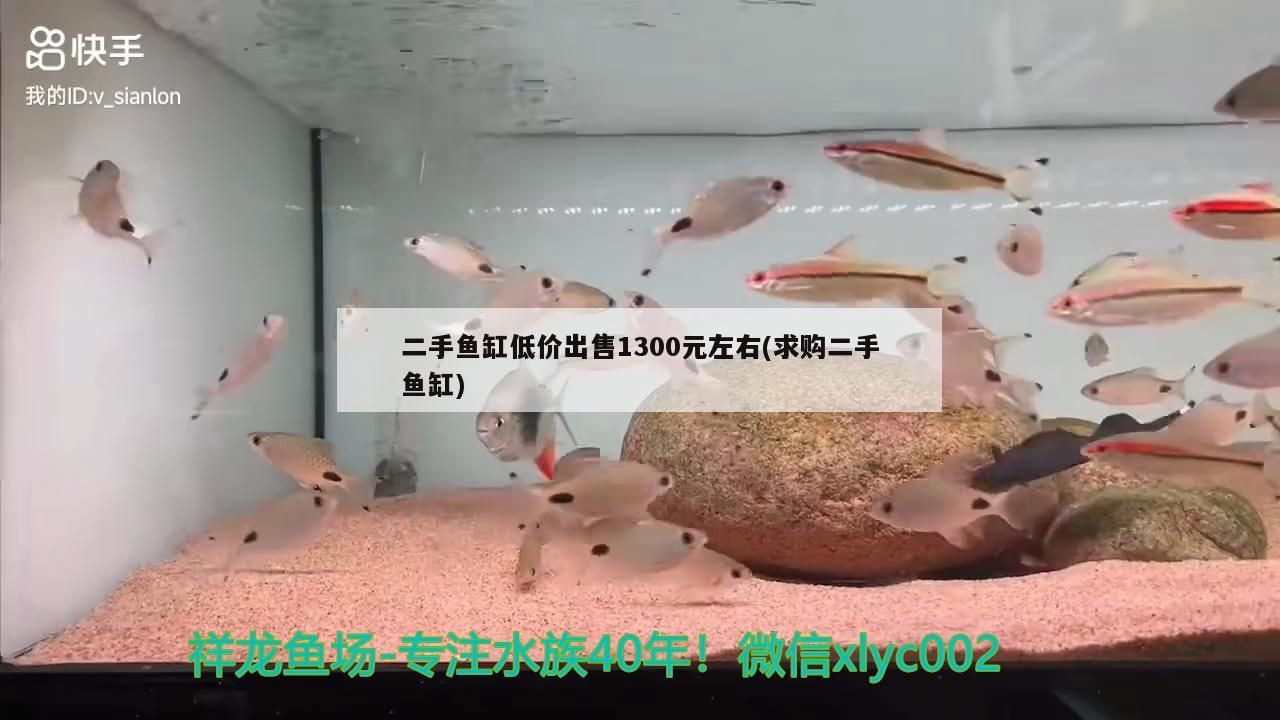 300 元求購二手魚缸，現(xiàn)有同價(jià)位優(yōu)質(zhì) 300 元求購二手魚缸，現(xiàn)有同價(jià)位優(yōu)質(zhì) 九鼎魚缸