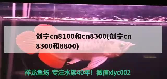 寧 CN8100、CN8300（含 8800