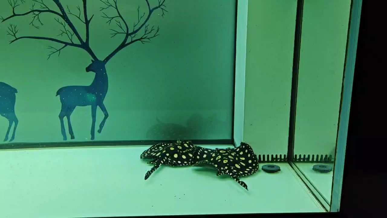無(wú)聊，那無(wú)處安放的思緒與百無(wú)聊賴(lài)的時(shí)光困境