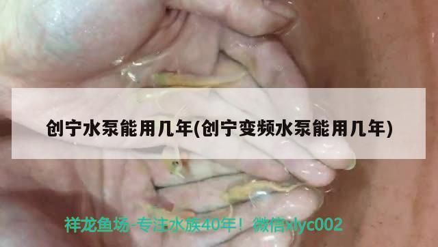 寧水泵及變頻水泵使用壽命探究，究竟