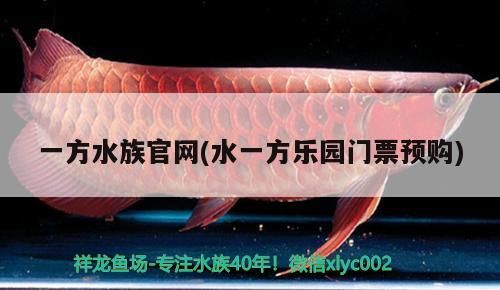 水族官網，水一方樂園門票預購開啟，暢享