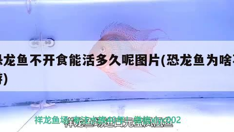 印嘉禾業務及客服電話揭秘，全方位解析其公司職能 印嘉禾業務及客服電話揭秘，全方位解析其公司職能 吉印水族 第1張