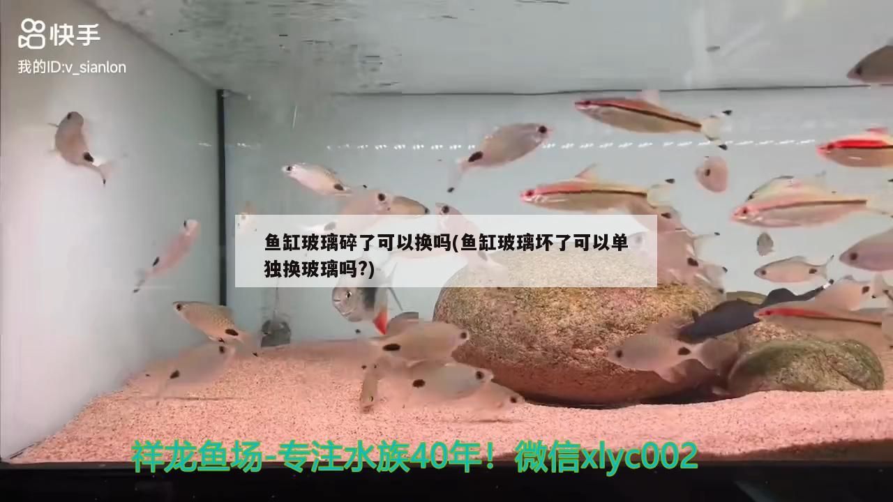 魚匠圣光加熱棒質量如何？與光特億加熱棒對比哪個更優？