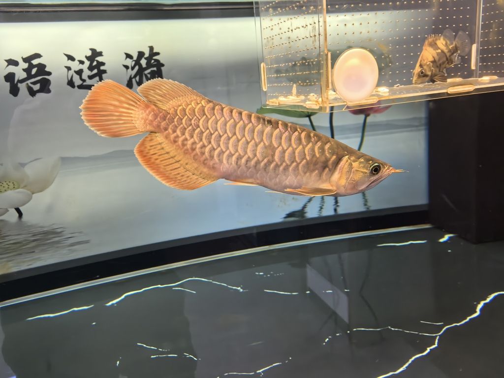 堅持愛好，在時光中綻放熱愛，收獲別樣精彩人生