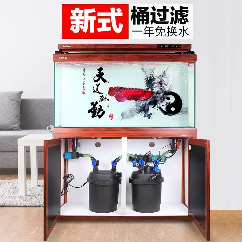 魚換水注意啥？祥龍魚場龍魚品種全解析，養魚必知 魚換水注意啥？祥龍魚場龍魚品種全解析，養魚必知 vs祥龍魚場 第2張