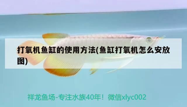 空氣泵原理圖解，揭秘開(kāi)氧泵時(shí)魚(yú)隨氣泡