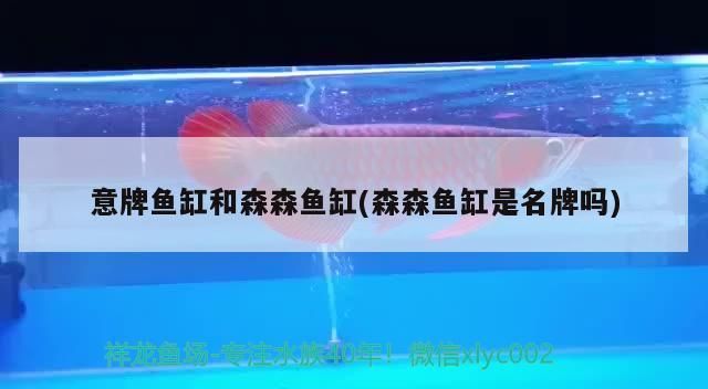 空氣泵原理圖解，揭秘開(kāi)氧泵時(shí)魚(yú)隨氣泡