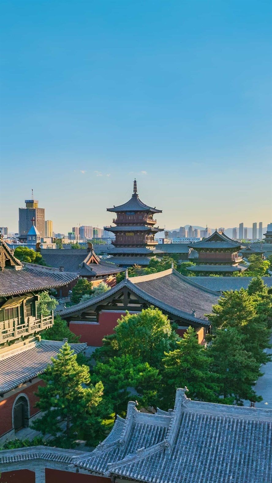 你還未提供具體的內容，我暫時無法為你生成標題。