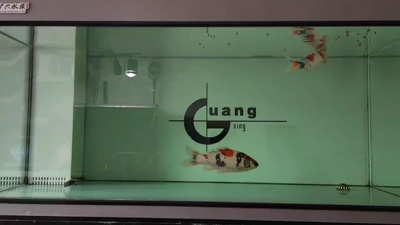 晚安，在靜謐夜色中尋得心靈歸處，安