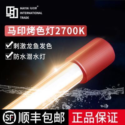 印水族燈究竟咋樣？