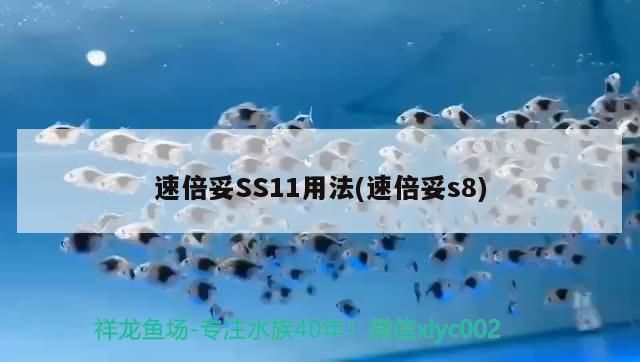 倍妥SS11（速倍妥s8）用法及 倍妥SS11（速倍妥s8）用法及 速倍妥