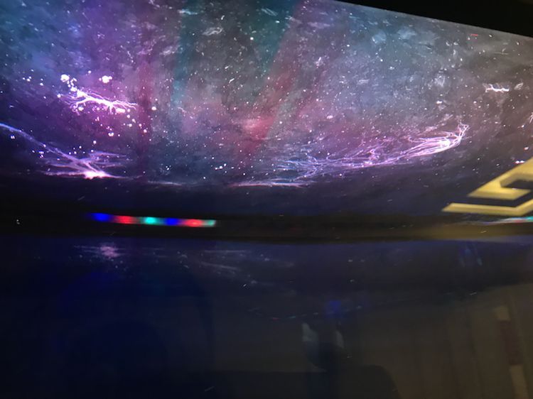 水面現蛋清狀物體,求助, 錦鯉魚百科 第1張 水面現蛋清狀物體,求助, 水面現蛋清狀物體,求助, 錦鯉魚百科 第1張