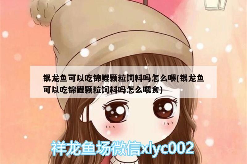 龍魚能否吃錦鯉顆粒飼料？