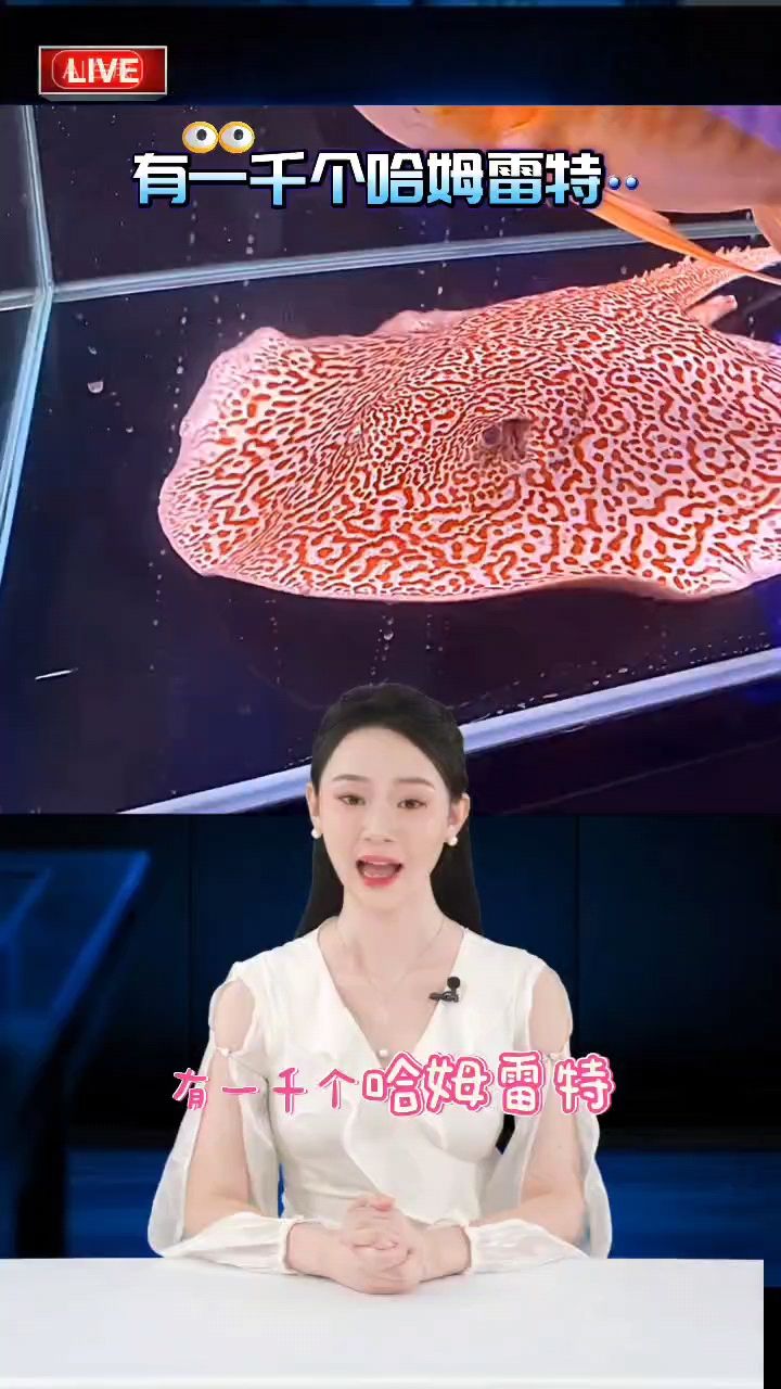 龍魚，何種形態、色澤及特征的金龍更具觀賞 龍魚，何種形態、色澤及特征的金龍更具觀賞 龍魚論壇 第1張