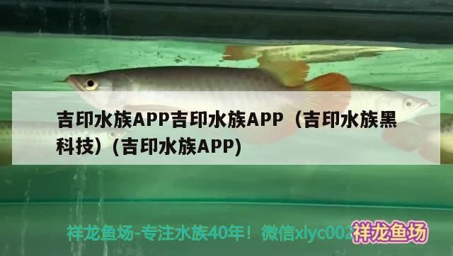 印水族APP，黑科技助力，開啟水族智能養(yǎng)殖新時代 印水族APP，黑科技助力，開啟水族智能養(yǎng)殖新時代 吉印水族