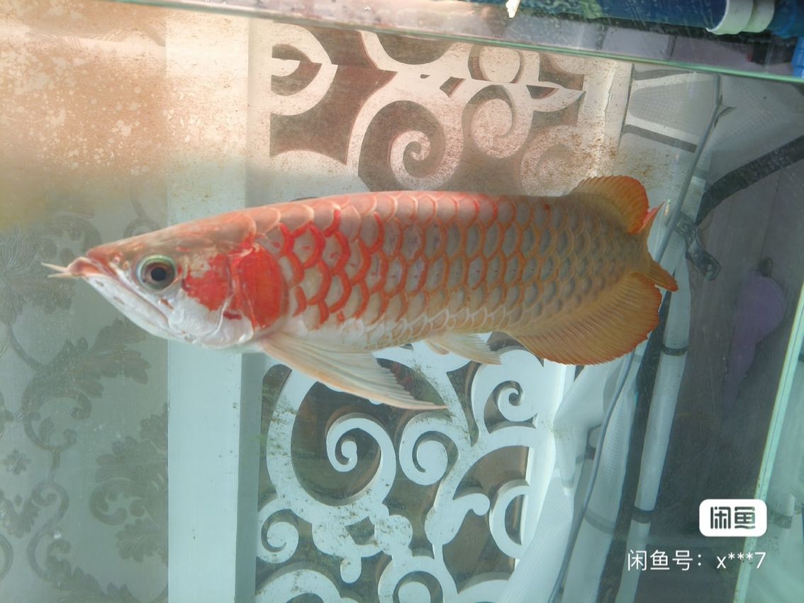 A]與[內容B]大比拼，究竟哪個更勝一籌？